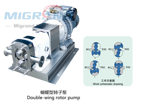 GD-150A Feeding pump (rotor pump)-1 مضخة التغذية GD-150A (مضخة الدوار)-1