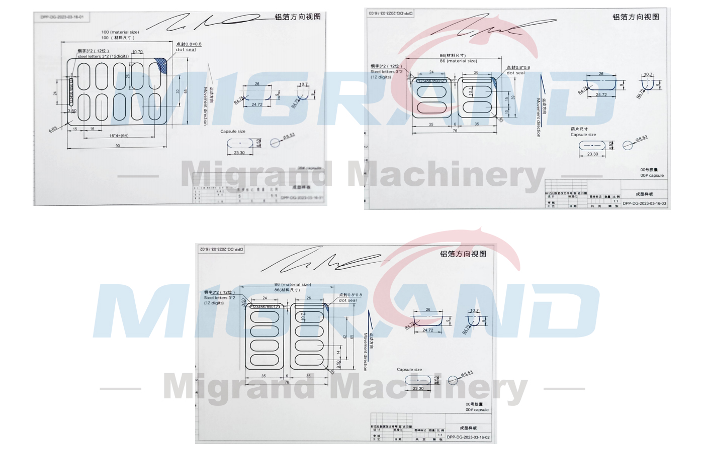 USA-DPP80 رسم تصميم القالب