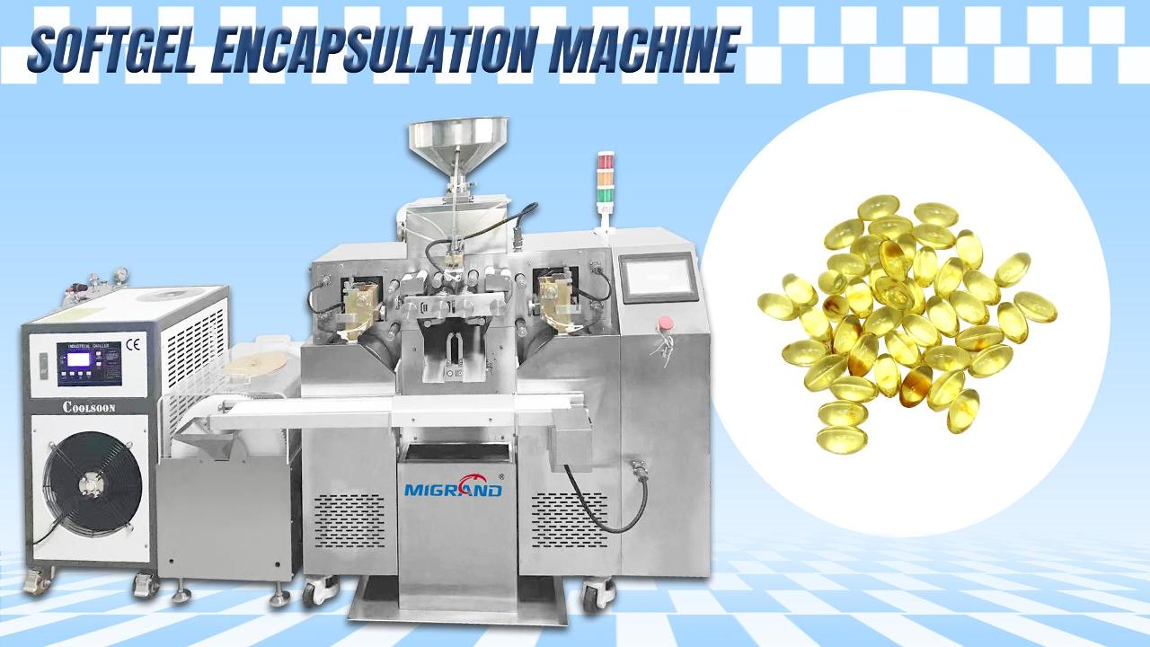 تصدير إلى خط إنتاج كبسولة Morocco Softgel مع 4 مجموعات العفن